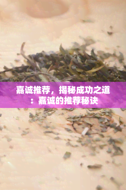 嘉诚推荐，揭秘成功之道：嘉诚的推荐秘诀