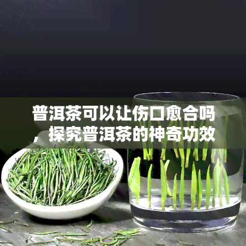 普洱茶可以让伤口愈合吗，探究普洱茶的神奇功效：能否促进伤口愈合？