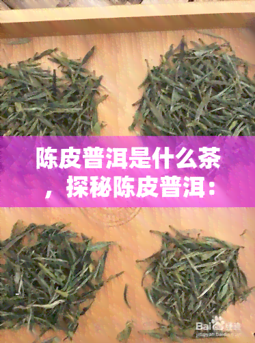 陈皮普洱是什么茶，探秘陈皮普洱：一种独特的茶叶品种