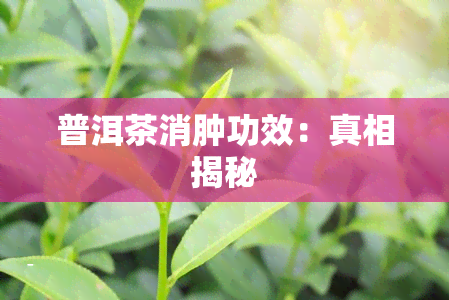 普洱茶消肿功效：真相揭秘