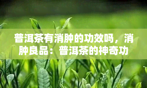 普洱茶有消肿的功效吗，消肿良品：普洱茶的神奇功效