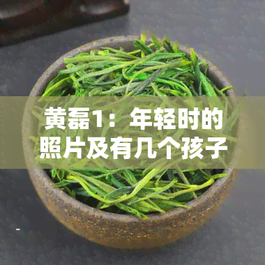 黄磊1：年轻时的照片及有几个孩子