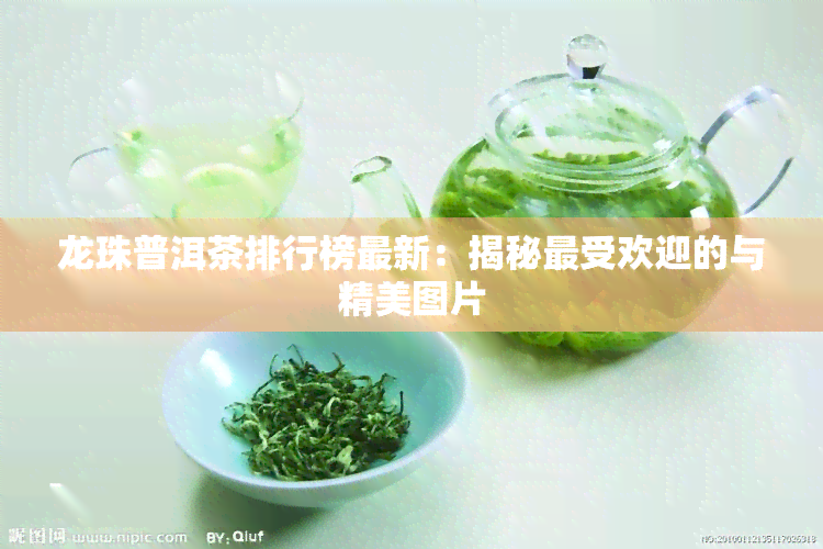 龙珠普洱茶排行榜最新：揭秘更受欢迎的与精美图片