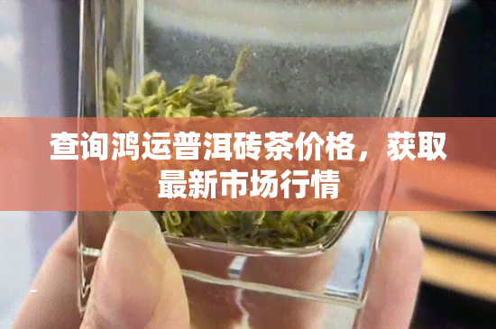 查询鸿运普洱砖茶价格，获取最新市场行情