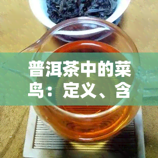 普洱茶中的菜鸟：定义、含义与解释