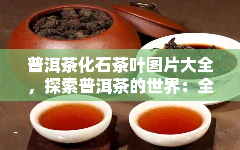 普洱茶化石茶叶图片大全，探索普洱茶的世界：全网最全的化石茶叶图片大全