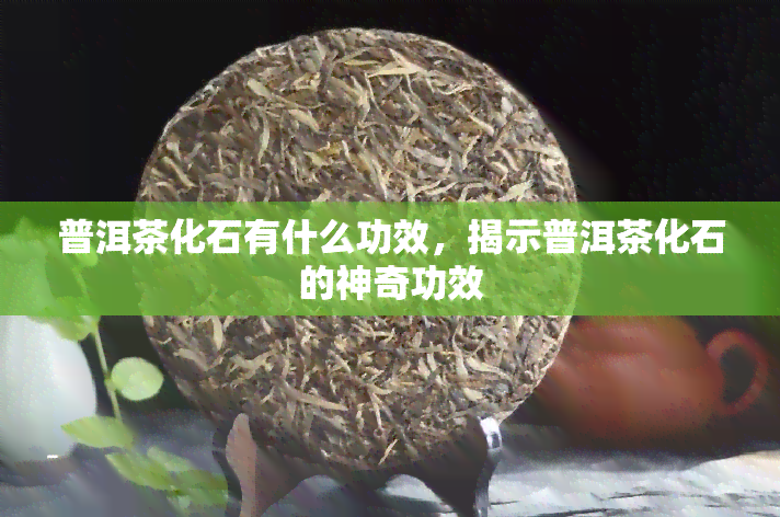 普洱茶化石有什么功效，揭示普洱茶化石的神奇功效