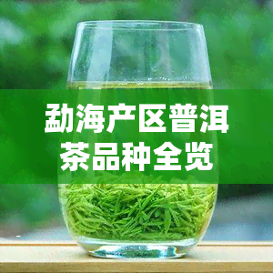 勐海产区普洱茶品种全览