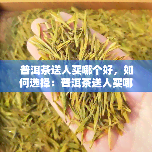 普洱茶送人买哪个好，如何选择：普洱茶送人买哪个好？