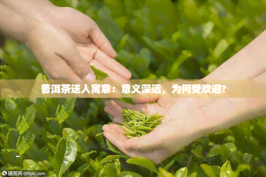 普洱茶送人寓意：意义深远，为何受欢迎?