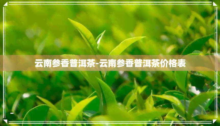 云南参香普洱茶-云南参香普洱茶价格表