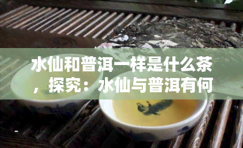 水仙和普洱一样是什么茶，探究：水仙与普洱有何相似之处？——茶叶中的双重享受