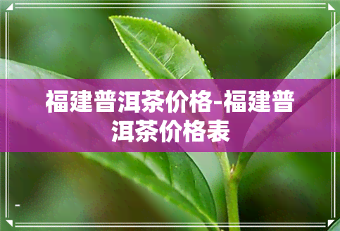 福建普洱茶价格-福建普洱茶价格表