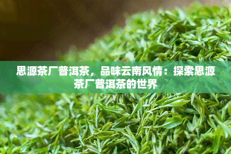 思源茶厂普洱茶，品味云南风情：探索思源茶厂普洱茶的世界