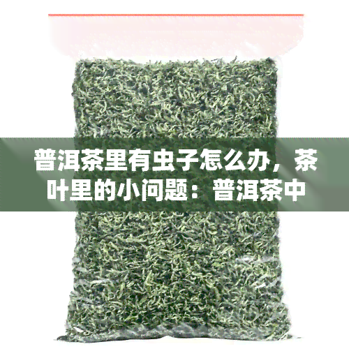 普洱茶里有虫子怎么办，茶叶里的小问题：普洱茶中出现虫子，应该如何处理？