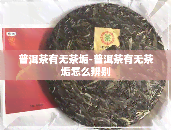 普洱茶有无茶垢-普洱茶有无茶垢怎么辨别