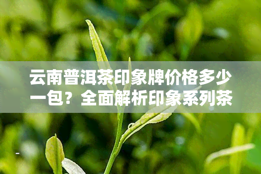 云南普洱茶印象牌价格多少一包？全面解析印象系列茶叶价值