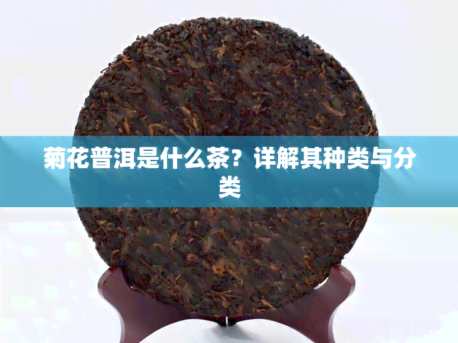 菊花普洱是什么茶？详解其种类与分类