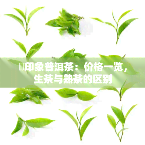 瑧印象普洱茶：价格一览，生茶与熟茶的区别