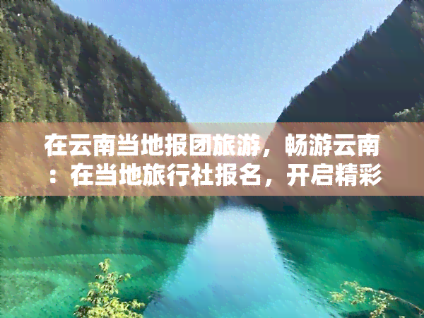 在云南当地报团旅游，畅游云南：在当地旅行社报名，开启精彩旅程！