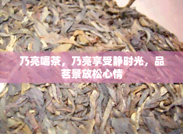 乃亮喝茶，乃亮享受静时光，品茗景放松心情