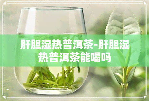 肝胆湿热普洱茶-肝胆湿热普洱茶能喝吗