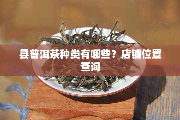 县普洱茶种类有哪些？店铺位置查询