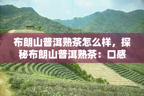 布朗山普洱熟茶怎么样，探秘布朗山普洱熟茶：口感、品质及收藏价值全解析