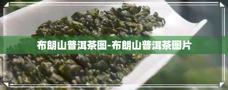 布朗山普洱茶图-布朗山普洱茶图片