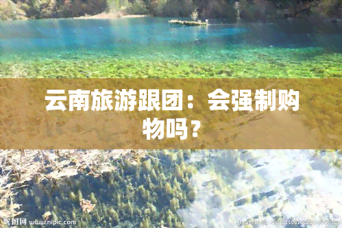 云南旅游跟团：会强制购物吗？