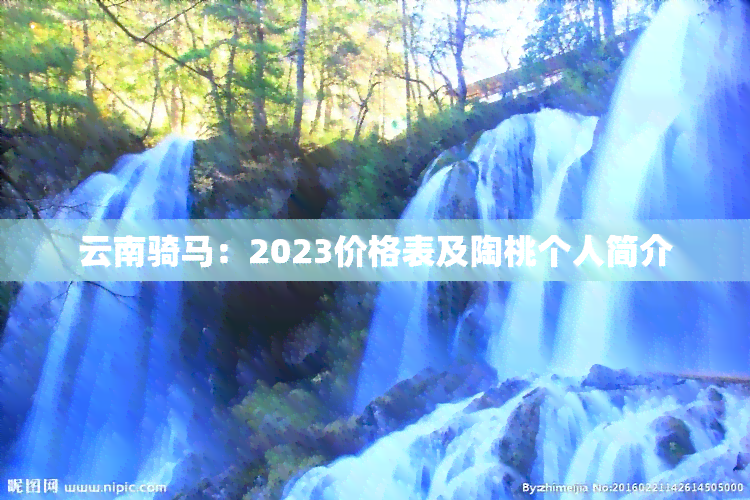 云南骑马：2023价格表及陶桃个人简介