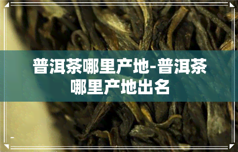 普洱茶哪里产地-普洱茶哪里产地出名