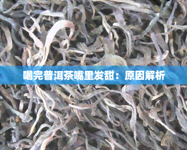 喝完普洱茶嘴里发甜：原因解析