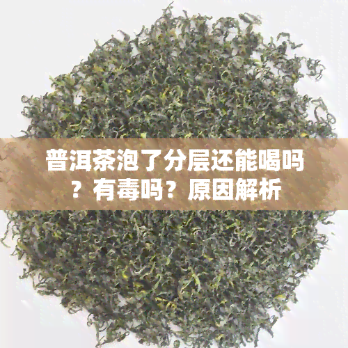 普洱茶泡了分层还能喝吗？有吗？原因解析