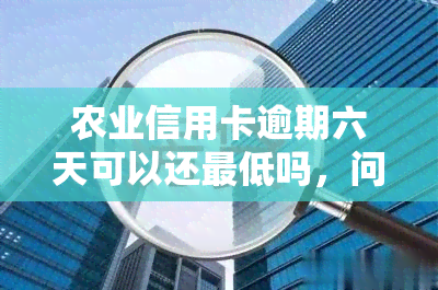 农业信用卡逾期六天可以还更低吗，问：农业信用卡逾期六天是否可以只还更低还款额？