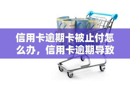 信用卡逾期卡被止付怎么办，信用卡逾期导致卡被止付？解决办法在此！