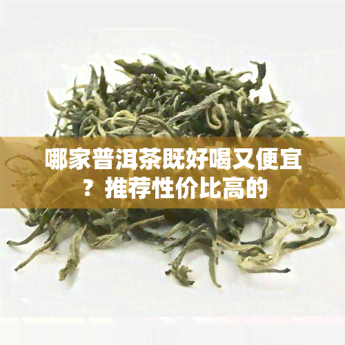 哪家普洱茶既好喝又便宜？推荐性价比高的