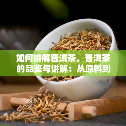 如何讲解普洱茶，普洱茶的品鉴与讲解：从原料到冲泡技巧全解析