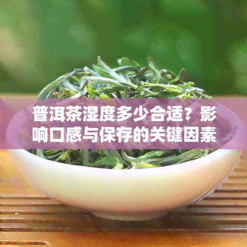 普洱茶湿度多少合适？影响口感与保存的关键因素