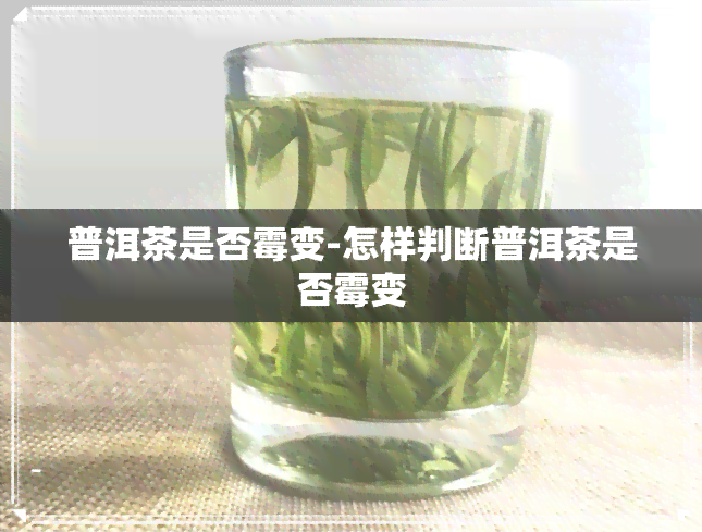 普洱茶是否霉变-怎样判断普洱茶是否霉变