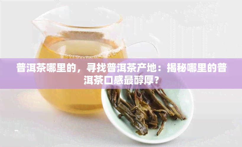 普洱茶哪里的，寻找普洱茶产地：揭秘哪里的普洱茶口感最醇厚？