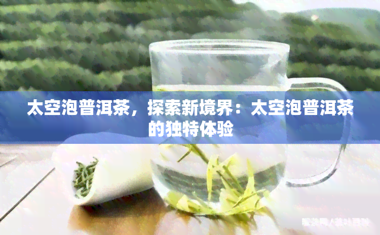 太空泡普洱茶，探索新境界：太空泡普洱茶的独特体验