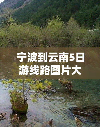 宁波到云南5日游线路图片大全及价格、视频全攻略