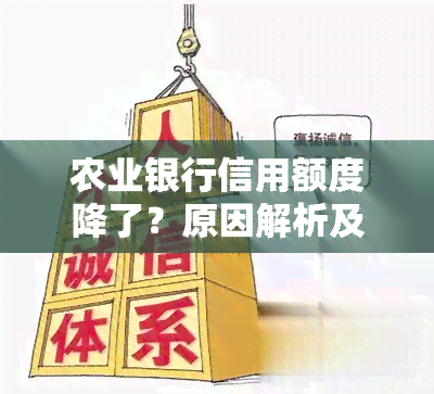 农业银行信用额度降了？原因解析及使用影响