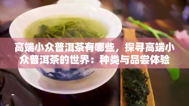 高端小众普洱茶有哪些，探寻高端小众普洱茶的世界：种类与品尝体验