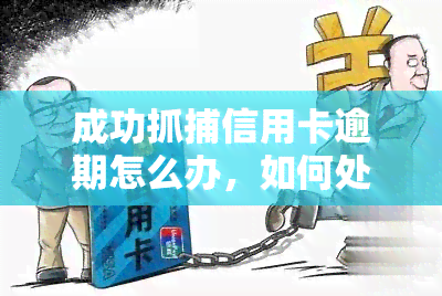 成功抓捕信用卡逾期怎么办，如何处理信用卡逾期：成功抓捕的关键步骤