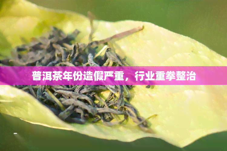 普洱茶年份造假严重，行业重拳整治