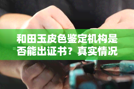 和田玉皮色鉴定机构是否能出证书？真实情况如何？费用多少？