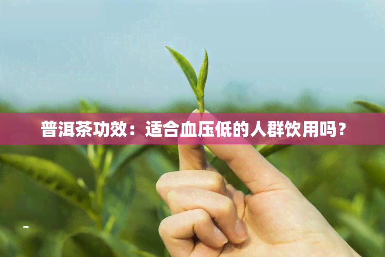 普洱茶功效：适合血压低的人群饮用吗？