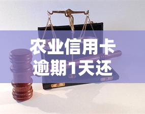 农业信用卡逾期1天还款后果：影响严重，需尽快处理